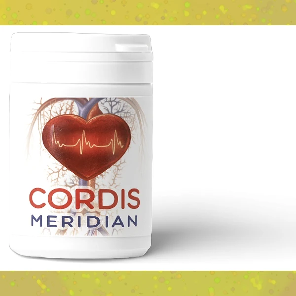 Cordis Meridian