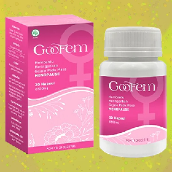 GOOFEM
