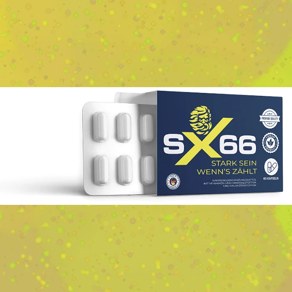 SX 66